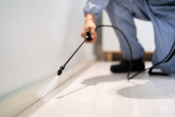 Licensed Mosquito Control service in Navy Yard City, WA - Show Me Pest Control