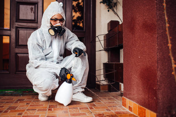 Reliable Mosquito Control contractor in Navy Yard City, WA by Show Me Pest Control