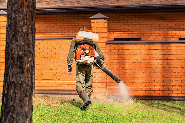 Top rated local Mosquito Control specialists in Navy Yard City, WA